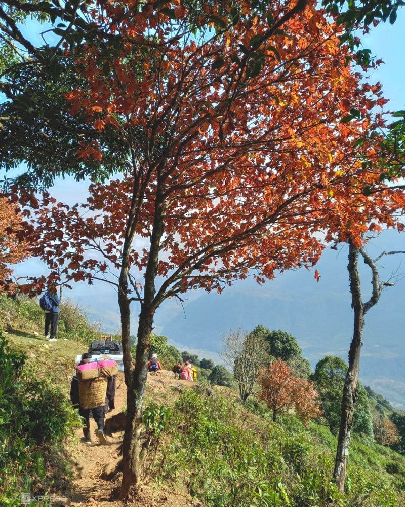 13 Days Wonderful Hiking Adventure from Bac Ha Hoang Su Phi Tan Quang